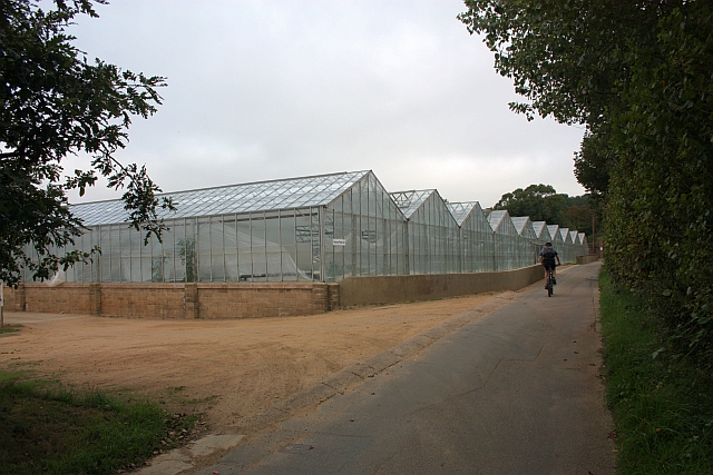 Glasshouses, Les Tours Farm, St Clements