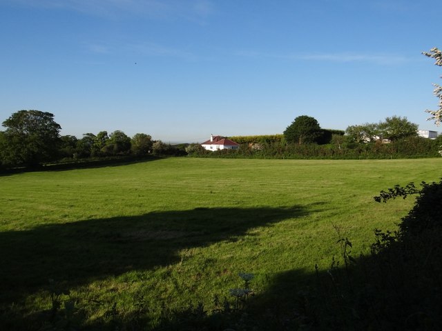Corner field