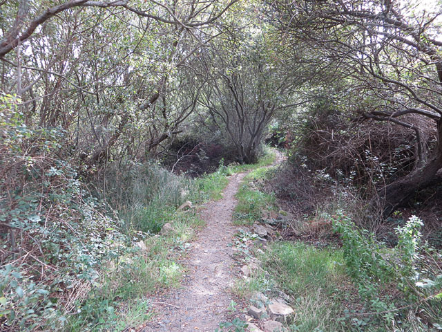 Path North from the Mannez Pond