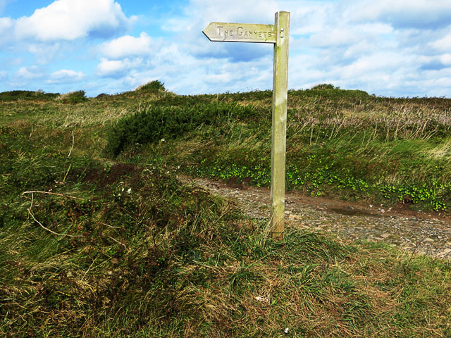 Signpost to the Gannets