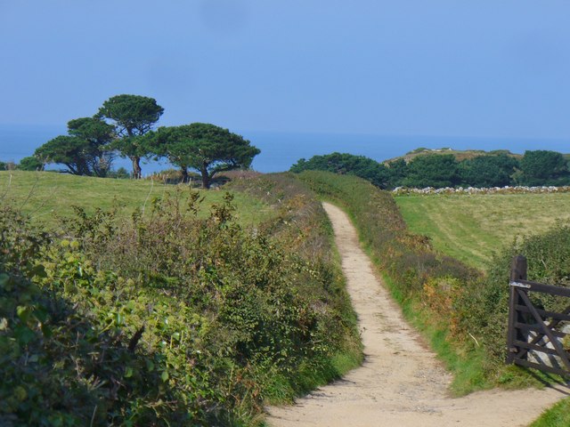 Herm - Country Lane