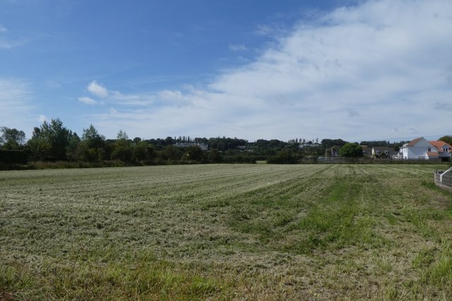 Field near Verona Stores