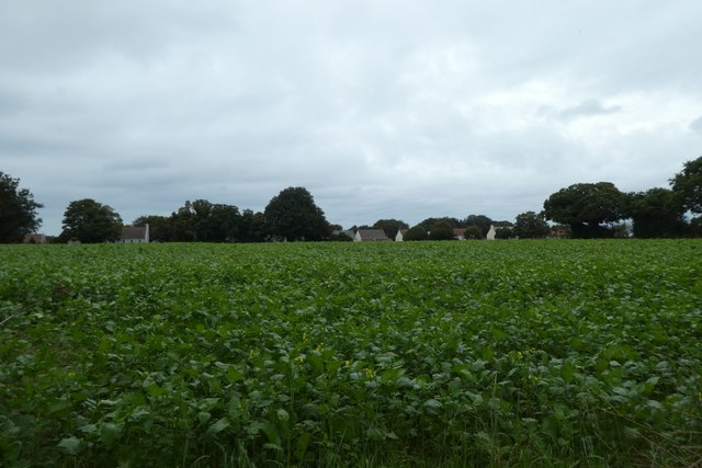 Farmland beside La Longue Rue
