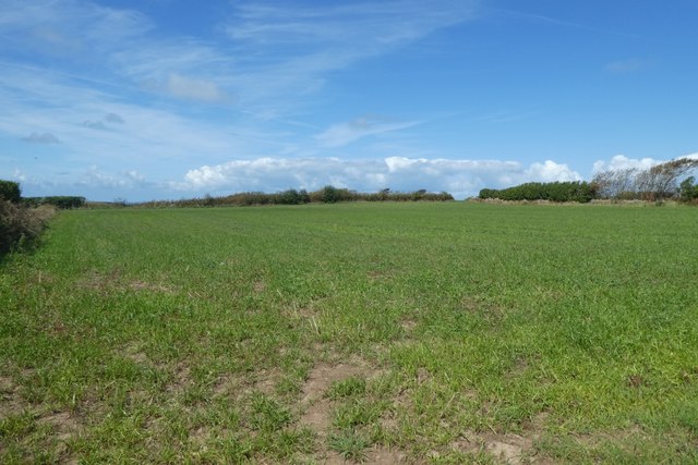 Field near La Ville la Bas