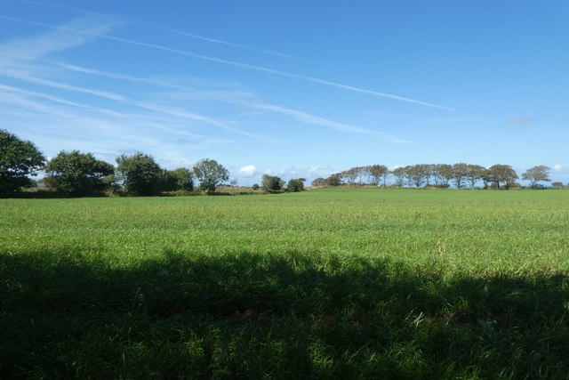 Fields near Rue du Lecq