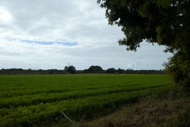 Farmland beside La Rue Bechervaise
