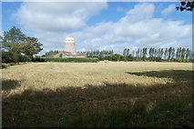 WV6947 : Farmland near a windmill by DS Pugh