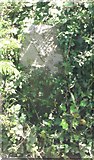 WV2775 : Old Milestone, Route de Plaisance (Ancien jalon) by Tim Jenkinson
